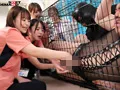 【美ノ嶋めぐり】マゾ豚どうぶつ病院で繰り広げられる、男の診療とセラピー サンプル2